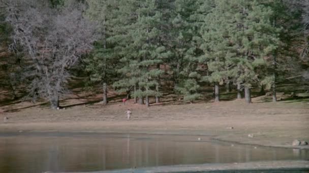 Longo Tiro Homem Perseguindo Menino Floresta Por Lago 1980 — Vídeo de Stock