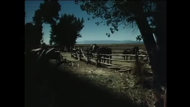 第十八世纪女子攀登畜栏的重演 — 图库视频影像