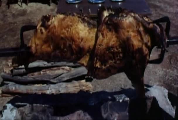 Man Spit Roasting Hog Picnic 1960S — Stock Video
