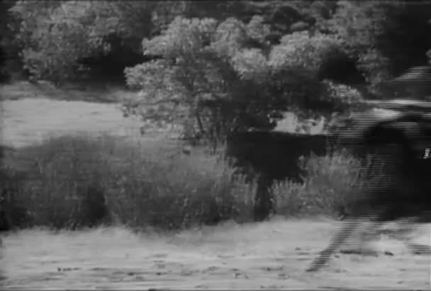 Cowboy Jumping Galloping Horse Knocking Rider 1930 — Vídeo de Stock