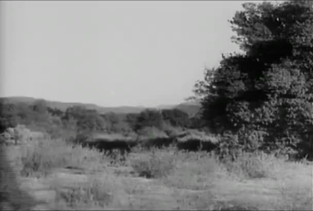 Vaquero Galopando Caballo Mientras Lleva Una Persona Herida 1930 — Vídeos de Stock