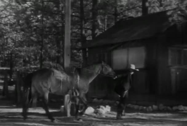 Άνθρωπος Που Οδηγεί Άλογο Του Προς Την Καλύβα Στο Δάσος — Αρχείο Βίντεο