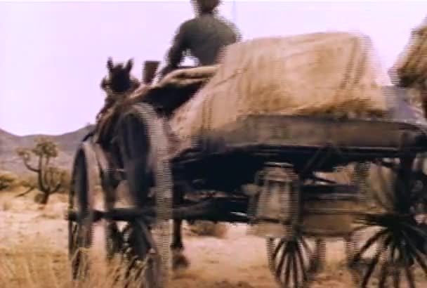 Cowboys Scortare Donna Guida Carraige Trainato Cavalli 1960 — Video Stock