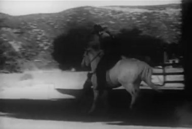 Ata, 1930'larda dörtnala kovboy çalışan köpek