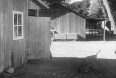 Kovboy atından 1930'larda bir ahır pencereye atlama