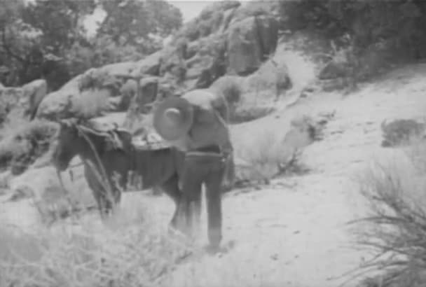 Cowboy Een Onbewuste Man Dragen Aan Zijn Paard Jaren 1930 — Stockvideo