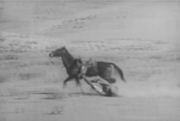 Cheval Traînant Homme Travers Prairie Années 1930 — Video