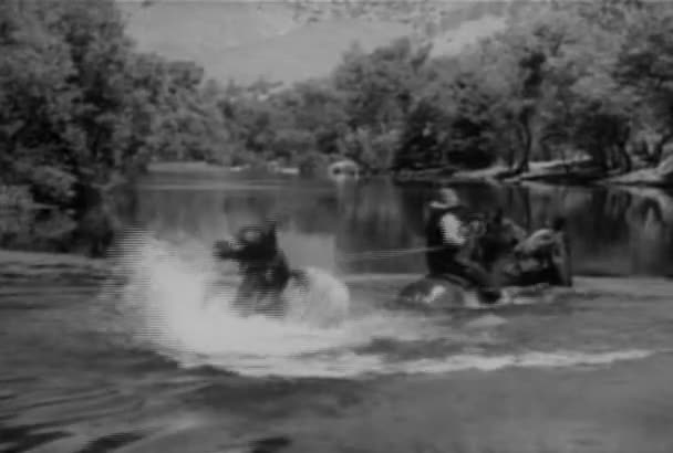Packhorse Berjuang Untuk Melepaskan Diri Dari Manusia Sungai 1930 — Stok Video