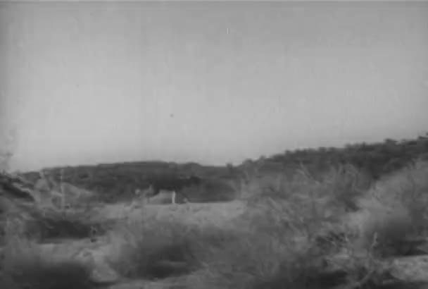Tepeye Ovaları 1930 Larda Çalışan Köpek Görüntüsünü Kaydırma — Stok video