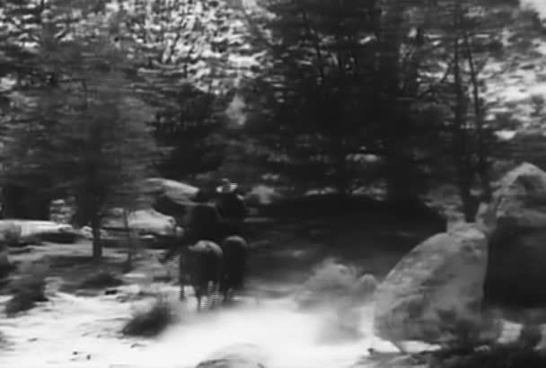 1930 年代の森 馬に乗って つのカウボーイの背面図 — ストック動画