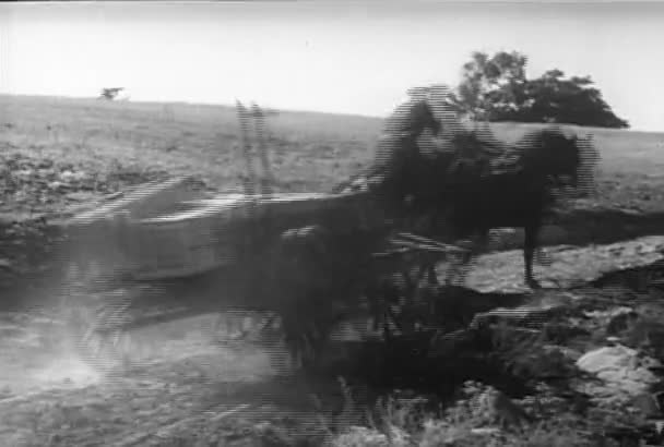 Лошадиная Повозка Переворачивающаяся Проселочной Дороге Время Погони 1940 Годов — стоковое видео