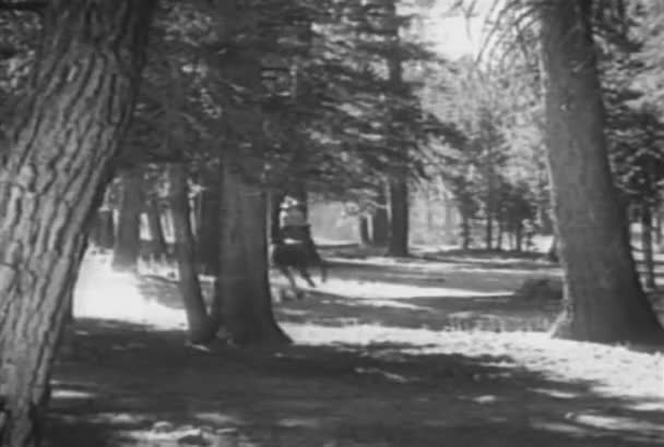 Vista Trasera Del Vaquero Galopando Por Bosque 1930 — Vídeo de stock