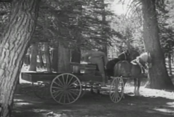 Homme Montant Dans Une Charrette Tirée Par Des Chevaux Éloignant — Video