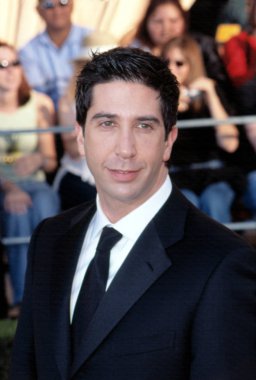 David Schwimmer 8 Yıllık Sag Ödülleri, La, Ca 3/10/2002 at 