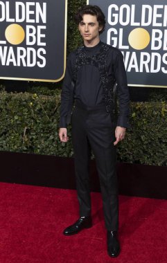 Timothee Chalamet, 06 Ocak 2019 tarihinde Beverly Hills, Los Angeles, ABD'deki Hotel Beverly Hilton'da düzenlenen 76. 