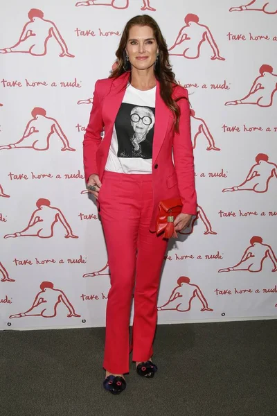 Brooke Shields Arrivals Take Home Nude Art Party Auction New — Stock Photo, Image