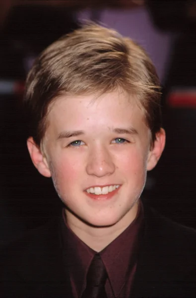 Haley Joel Osmon Vid Världspremiären Artificiell Intelligens 2001 — Stockfoto