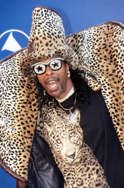 Bootsy Collins 2002 Premios Grammy 2002 — Foto de Stock