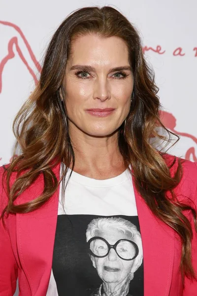 Brooke Shields Arrivals Take Home Nude Art Party Auction New — Stock Photo, Image