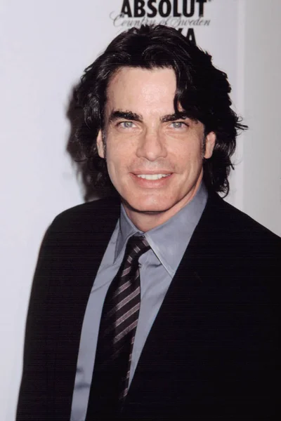 Peter Gallagher Glaad 媒体奖 2002 — 图库照片