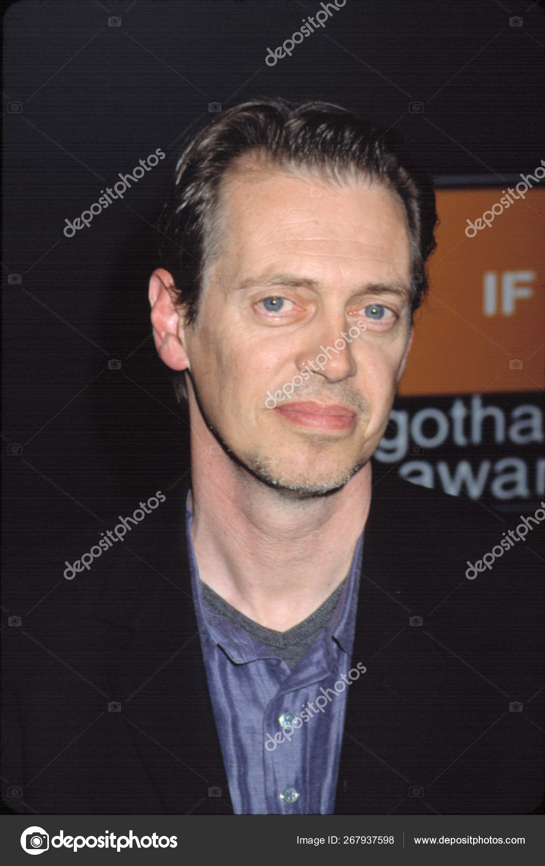 Steve Buscemi Ifp Gotham Awards 01 Stock Editorial Photo C Everett225