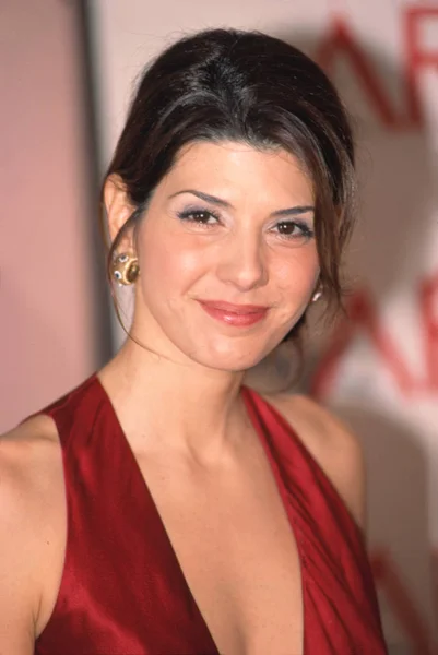 Marisa Tomei 2001 American Film Institute Awards 2002 — Foto de Stock