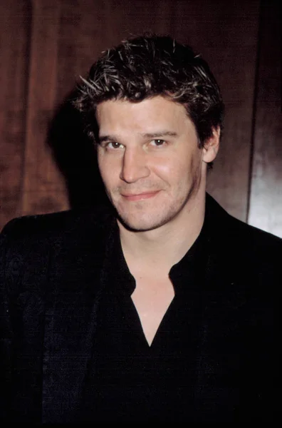 David Boreanaz Bei Heroes Uniform Gala 2002 — Stockfoto