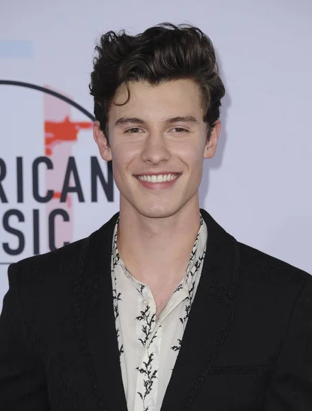 Shawn Mendes Arrivals 2018 American Music Awards Arrivals Microsoft Theater — Stock Photo, Image