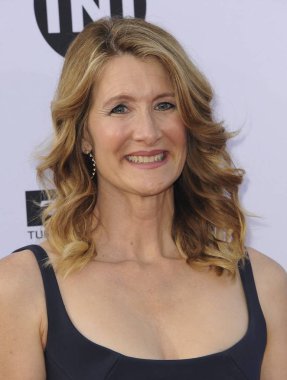 Laura Dern 46. Fotoğraf: Elizabeth Goodenough / Everett Koleksiyonu