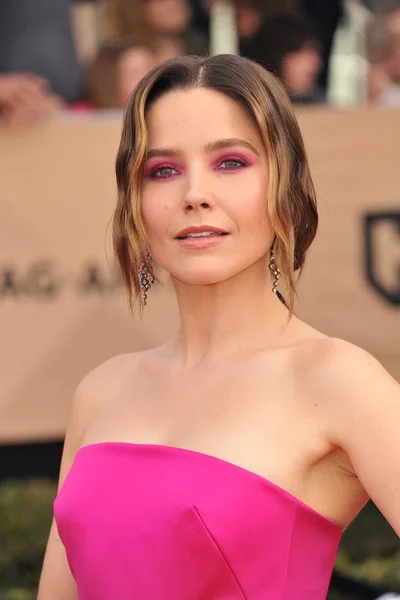 Sophia Bush Arrivals 23Rd Annual Screen Actors Guild Awards Presented — Stock Photo, Image