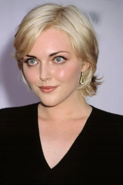 Sophie Dahl 20Th American Fashion Awards Nyc — Stok Foto