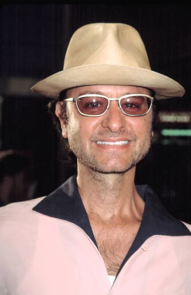 Fisher Stevens Premiéřově Zámku 2002 Nyc — Stock fotografie