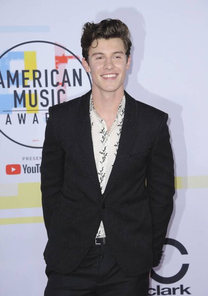 Shawn Mendes at arrivals for 2018 American Music Awards - Arrivals 2, Microsoft Theater, Los Angeles, CA October 9, 2018. Photo By: Elizabeth Goodenough/Everett Collection
