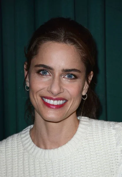 Amanda Peet Store Appearance Dear Santa Love Rachel Rosenstein Book — стоковое фото