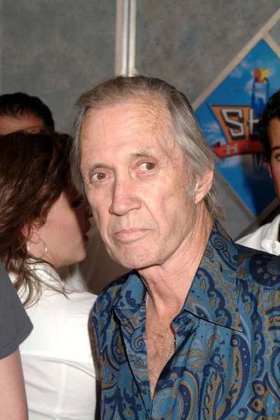 David Carradine Familia Las Llegadas Para Sky High Premiere Capitan —  Fotos de Stock