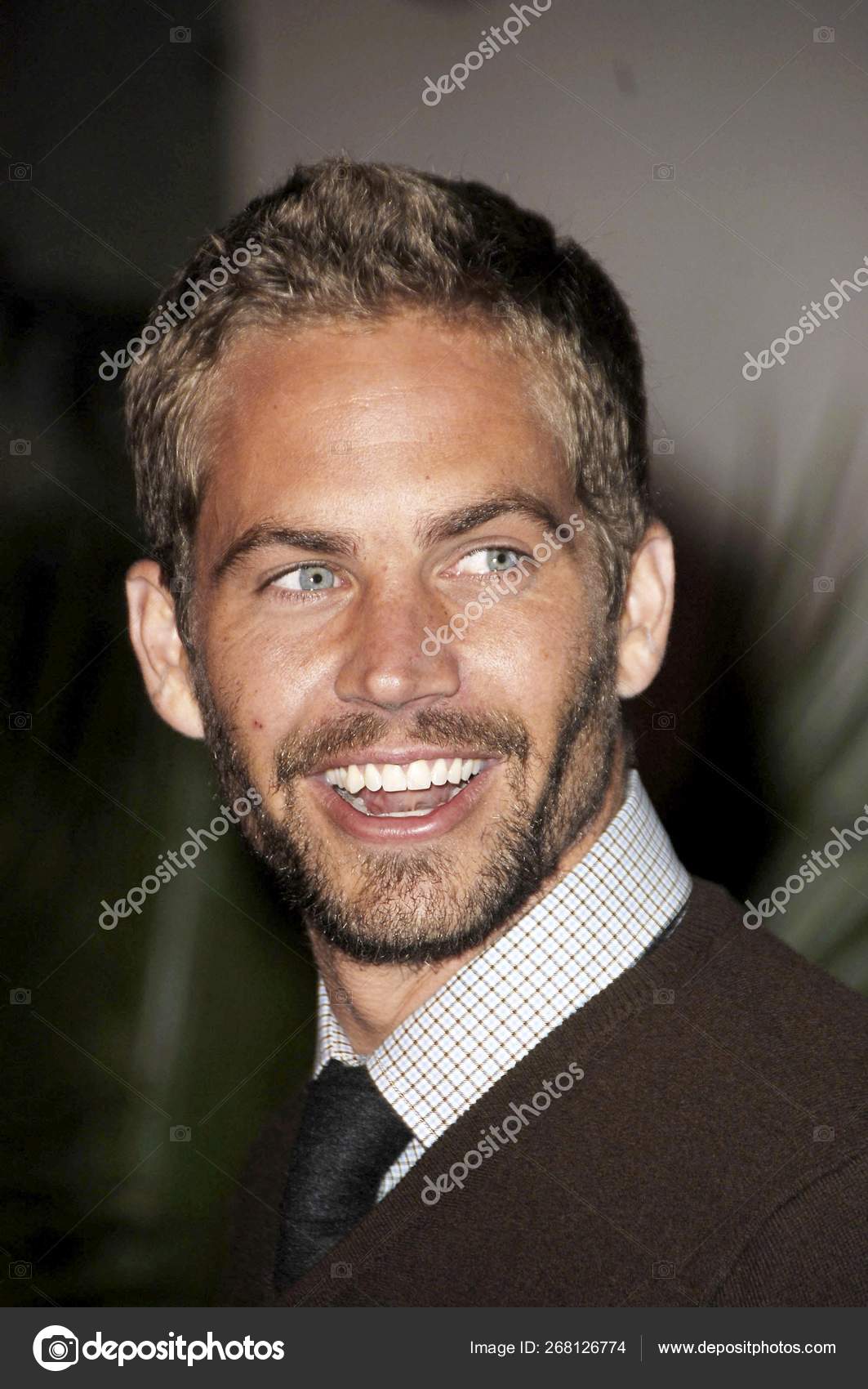 Paul Walker Arrivals Flags Our Fathers Los Angeles Premiere Academy Stock Editorial Photo C Everett225 Paul Walker Arrivals Flags Our Fathers Los Angeles Premiere Academy Stock Editorial Photo C Everett225