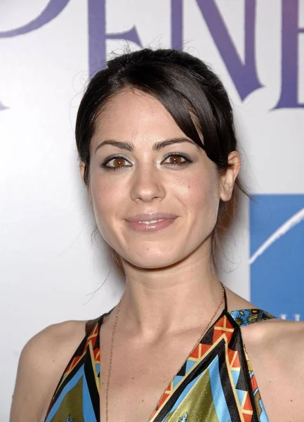 Michelle Borth Penelope Premiere Için Gelenler Dga Director Guild America — Stok fotoğraf