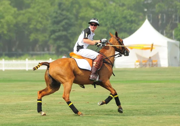 Princ Harry Při Veřejném Vystoupení 2010 Veuve Clicquot Polo Classic — Stock fotografie