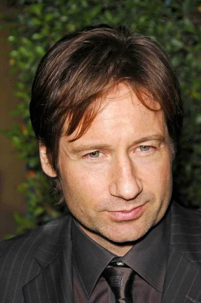 David Duchovny Arrivals Things Lost Fire Premiere Mann Egyptian Theater — Stock Photo, Image