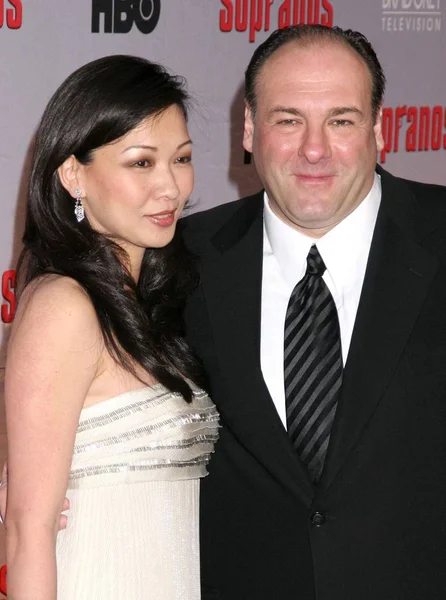 Deborah Lin James Gandolfini Agli Arrivi Sopranos World Premiere Screening — Foto Stock