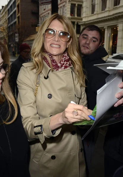 Laura Dern Tienda Para Meet Filmmakers Wild Apple Store Soho —  Fotos de Stock