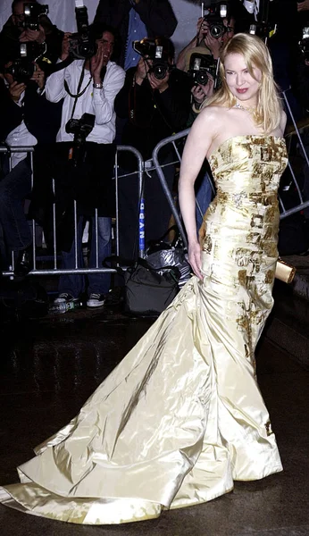 Aktris Rene Zellweger Carolina Herrera Elbisesi Giyen Met Nisan 2004 — Stok fotoğraf