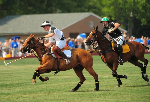 Princ Harry Při Veřejném Vystoupení 2010 Veuve Clicquot Polo Classic — Stock fotografie