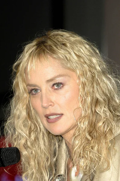 Sharon Stone at the press conference, COME TOGETHER NOW, Hurricane Katrina Benefit Recording, Hollywood Roosevelt Hotel Cinegrill, Los Angeles, CA, October 17, 2005,