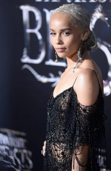 Zoe Kravitz Прибуття Фантастичних Звірів Знайти Світова Прем Єра Аліса — стокове фото