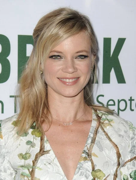 Amy Smart Las Llegadas Para Estreno Breakpoint Tcl Chinese Theatres — Foto de Stock