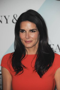 Angie Harmon Film Kadınlar için gelenler 2015 Kristal + Lucy Ödülleri, Hyatt Regency Century Plaza Hotel, Los Angeles, Ca Haziran 16, 2015. Fotoğraf: Elizabeth Goodenough / Everett Koleksiyonu