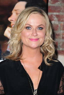 Amy Poehler 2014 Bamcinemafest için gelenler: Onlar Birlikte Premiere Came, Bam Harvey Tiyatrosu, Brooklyn, Ny Haziran 23, 2014. Fotoğraf: Gregorio T. Binuya / Everett Koleksiyonu