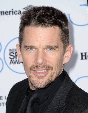 Ethan Hawke için gelenler 2015 Film Independent Spirit Ödülleri Adayı Brunch, Batı Hollywood Boa Steakhouse, Los Angeles, Ca Ocak 10, 2015. Fotoğraf: Dee Cercone /Everett Collection