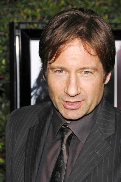 David Duchovny Chegadas Para Coisas Que Perdemos Fogo Los Angeles — Fotografia de Stock